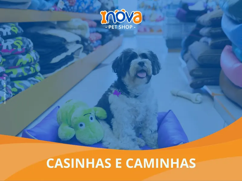 Casinhas e caminhas, Inova Pet
